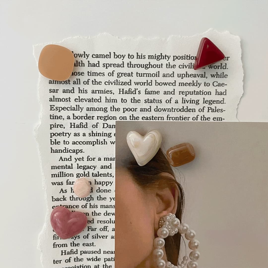 데미무드 로즈블라썸 마그네틱 6p SET 마그넷 냉장고자석 - 최저가 4,900원