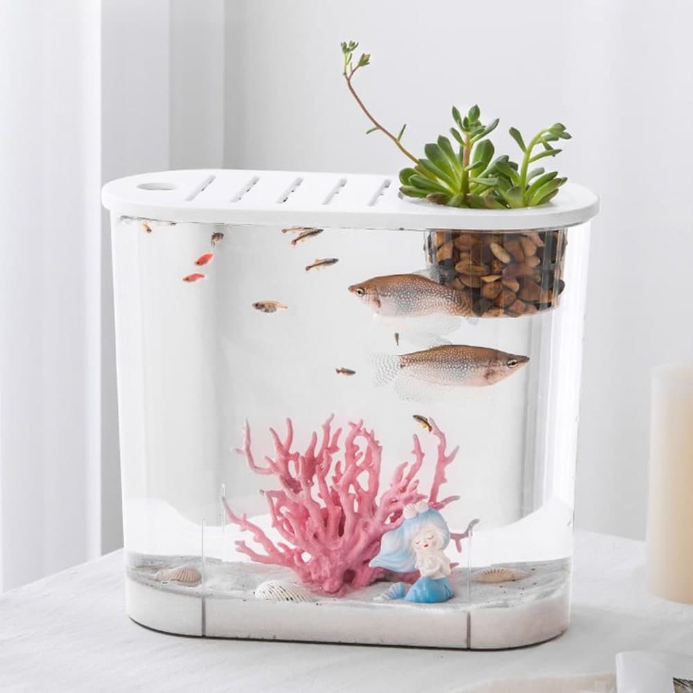 21세기트랜드 21세기트랜드 모비딕 깨지지않는 라운드형 구피 베타 탁상 안전수족관 - 최저가 16,800원