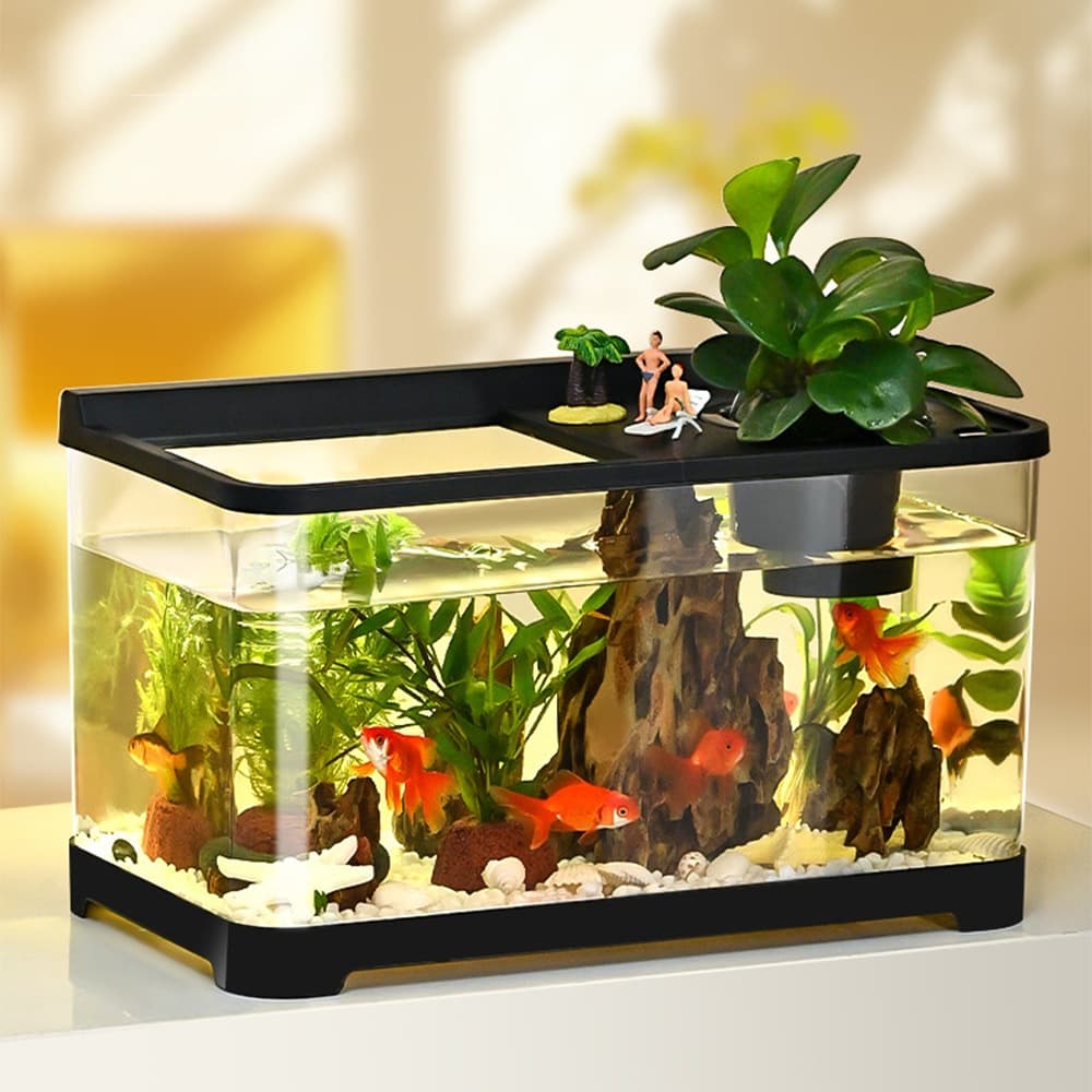 21세기트랜드 null - 최저가 31,800원