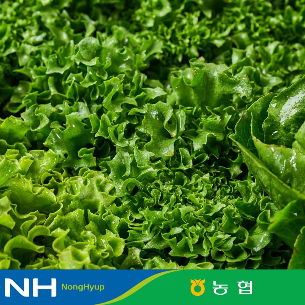 농협 null - 최저가 5,940원