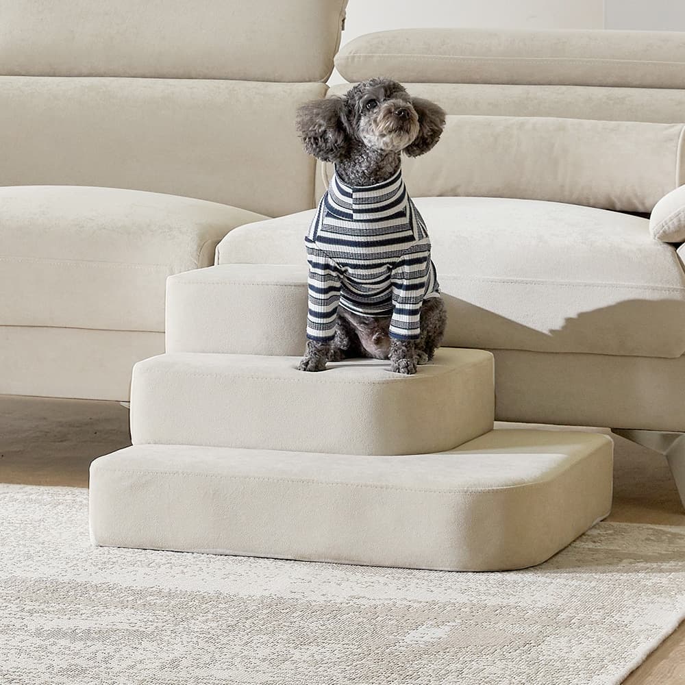 웰퍼니쳐 웰퍼니처 체리쉬 강아지 고양이 반려동물 펫스텝 펫계단