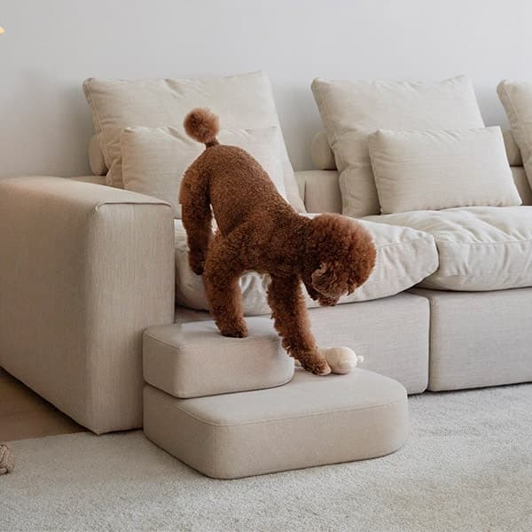 일룸 일룸 펫스텝(패브릭)