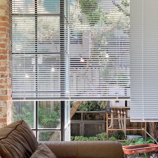 창안애 null - 최저가 8,800원