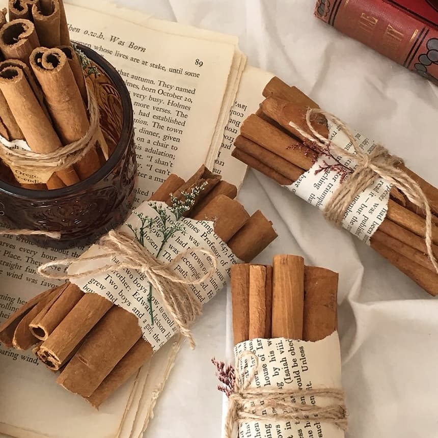 안제이 null - 최저가 4,200원