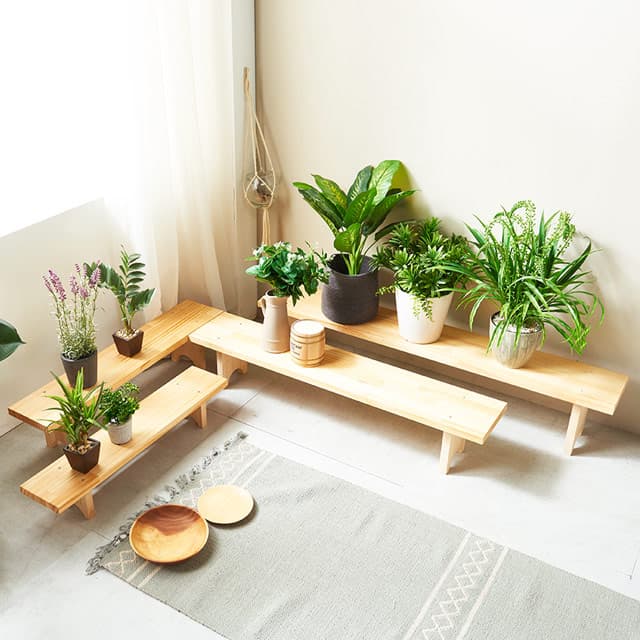 햇살맑은집 null - 최저가 19,000원