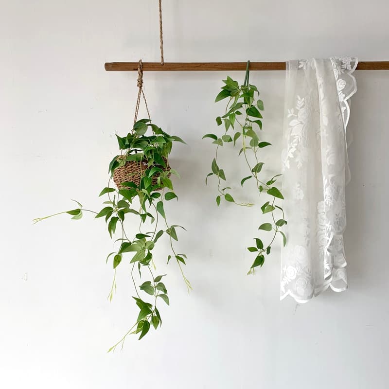 메이드모드 null - 최저가 3,900원