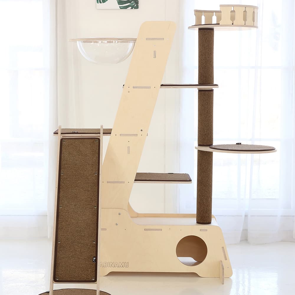 나비나무 지타워