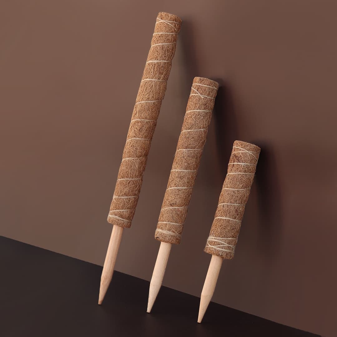 마이플랜트 null - 최저가 3,150원