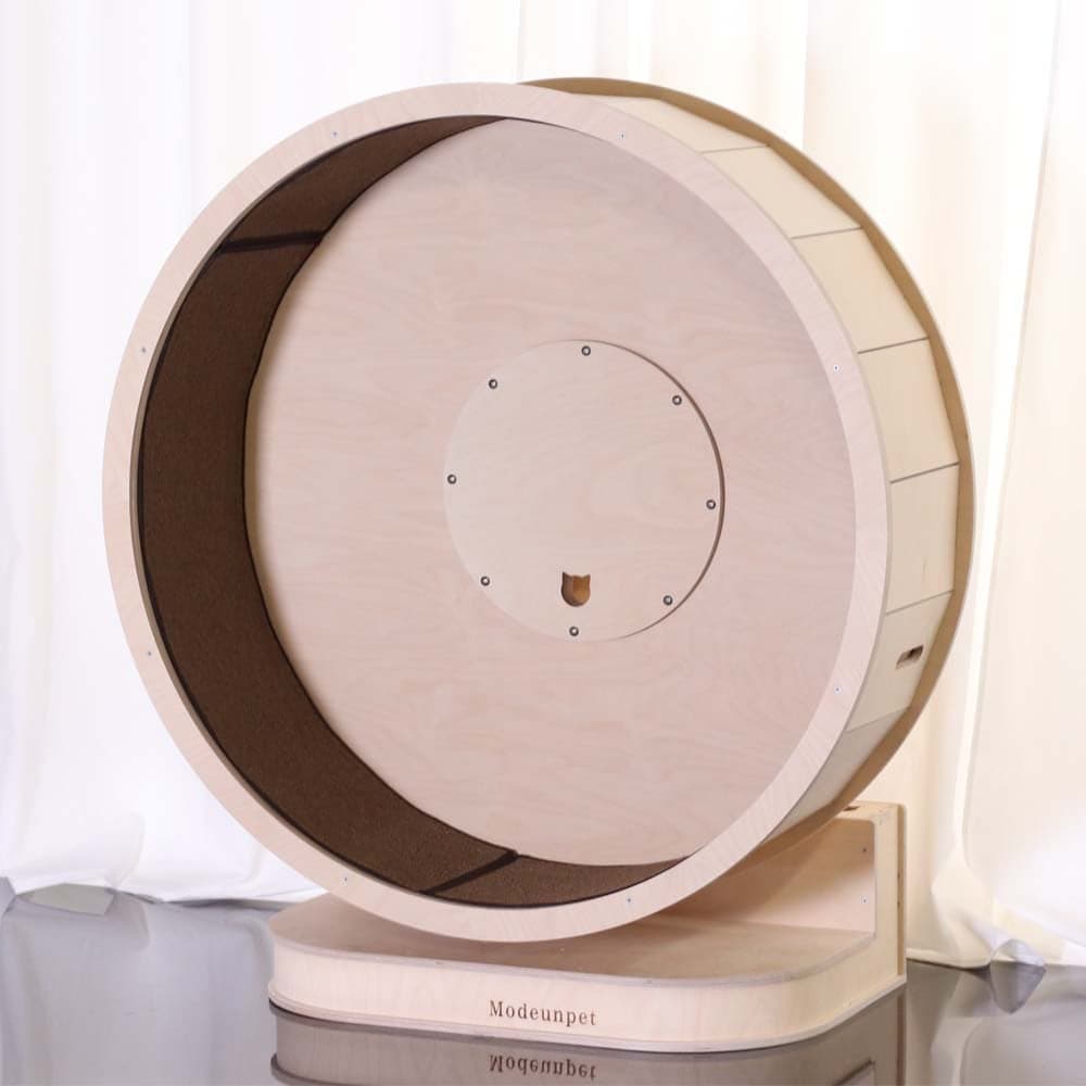 모든펫 룰루캣휠