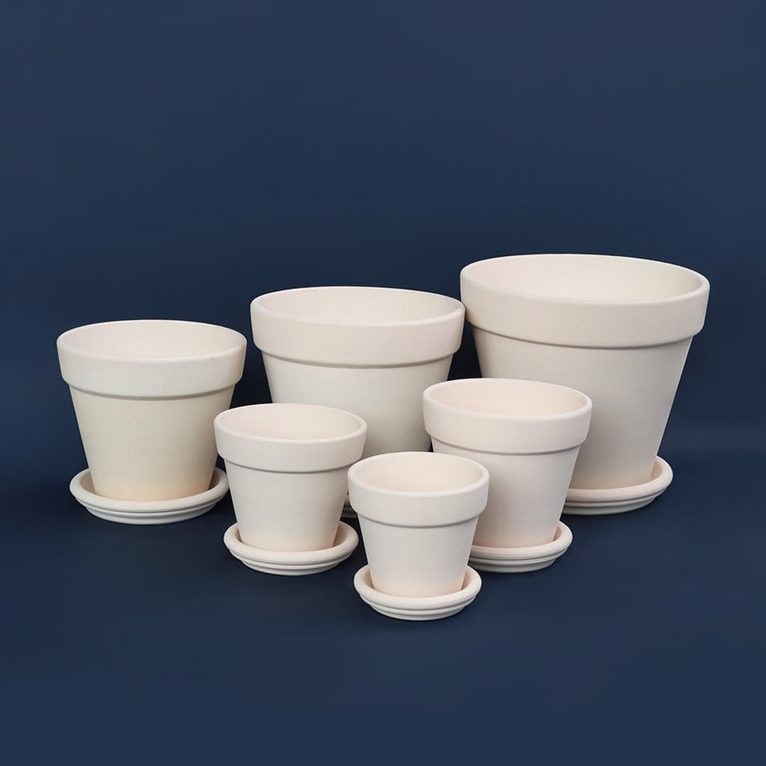 마이플랜트 null - 최저가 2,970원