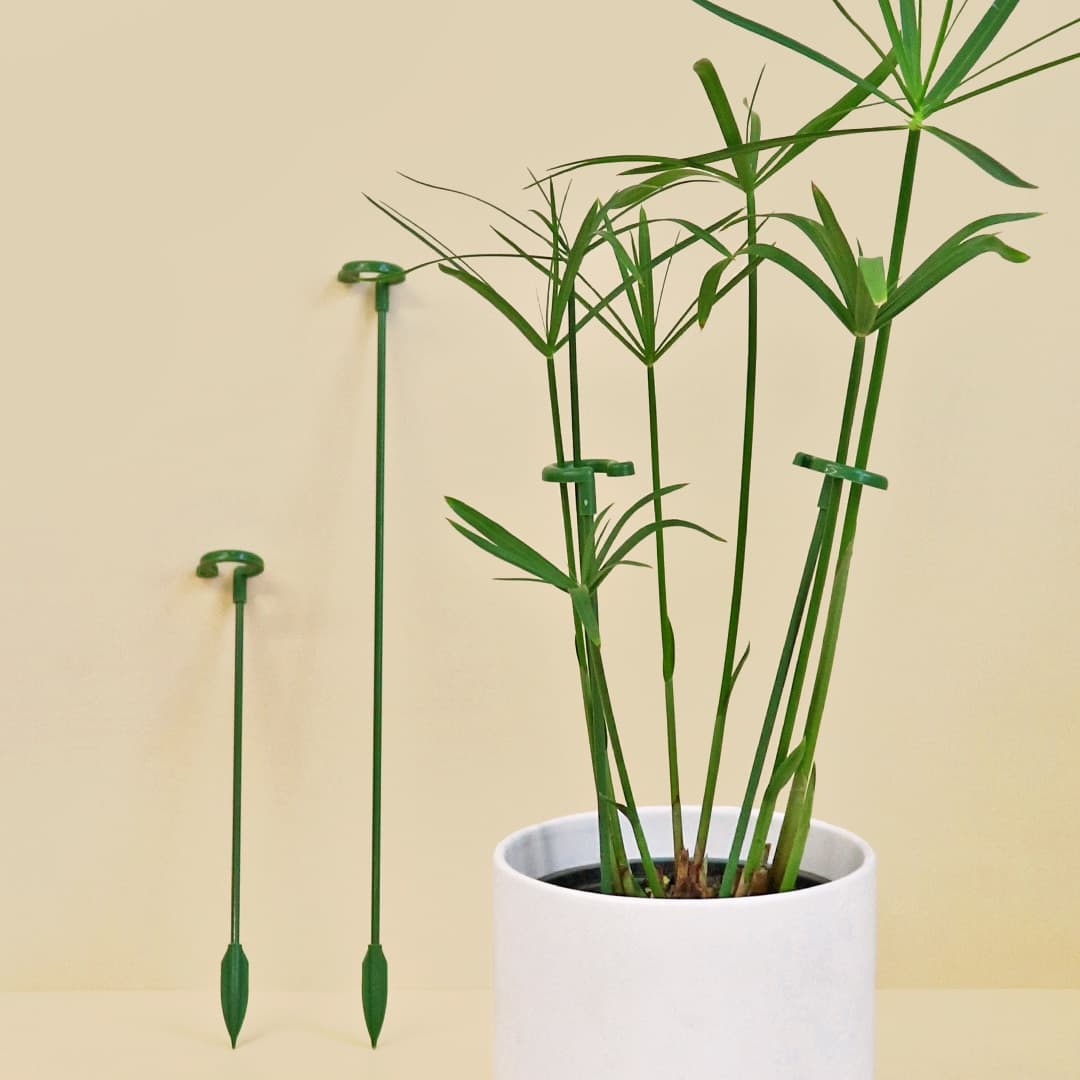 마이플랜트 식물지지대 오링 지지대 3size - 최저가 180원