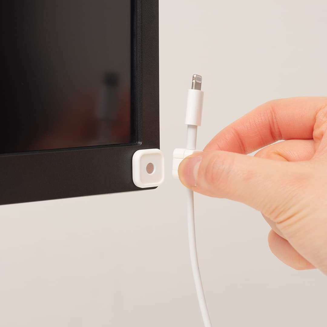 신지모루 null - 최저가 5,300원