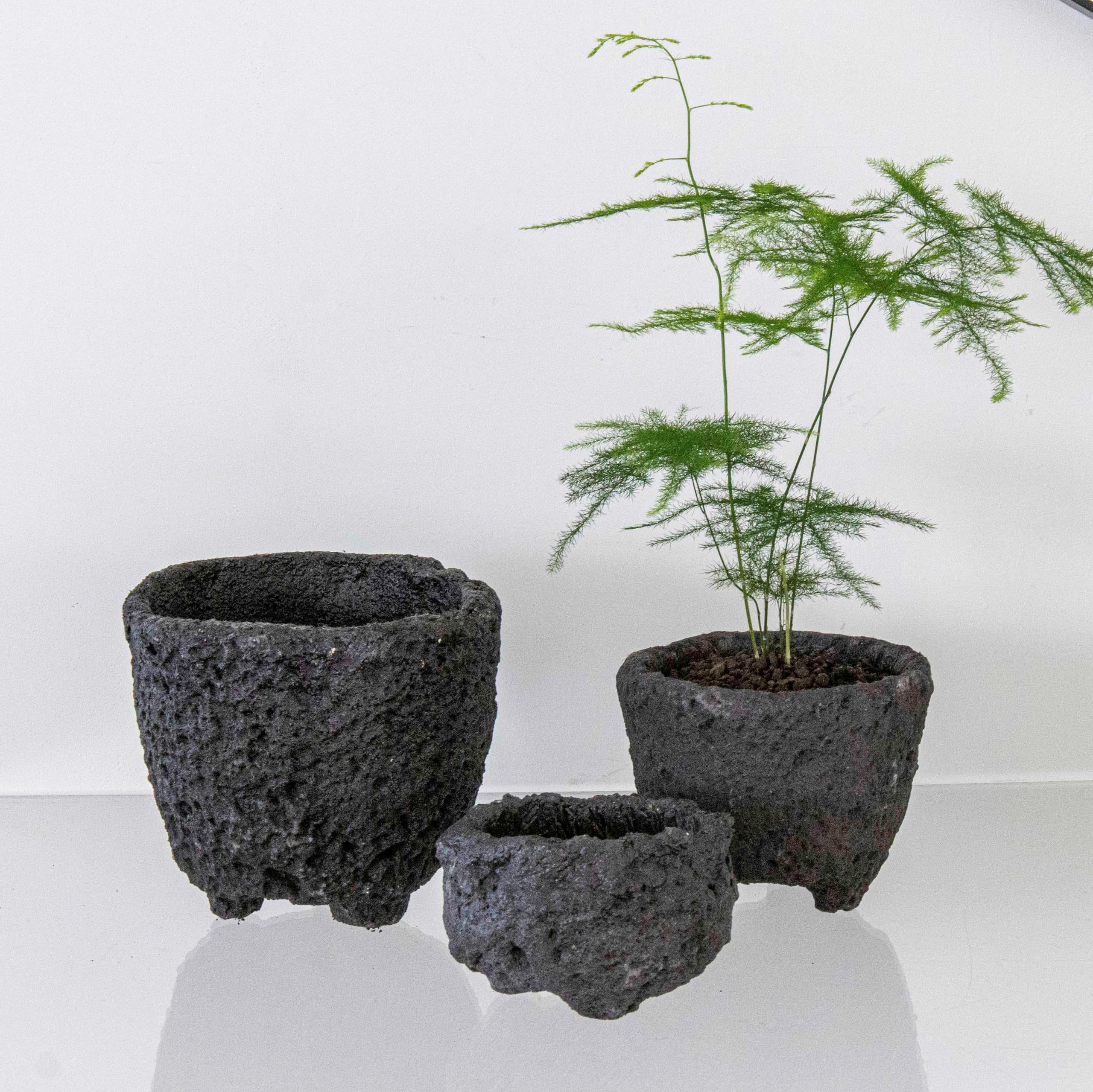 반달플라워마켓 null - 최저가 6,000원