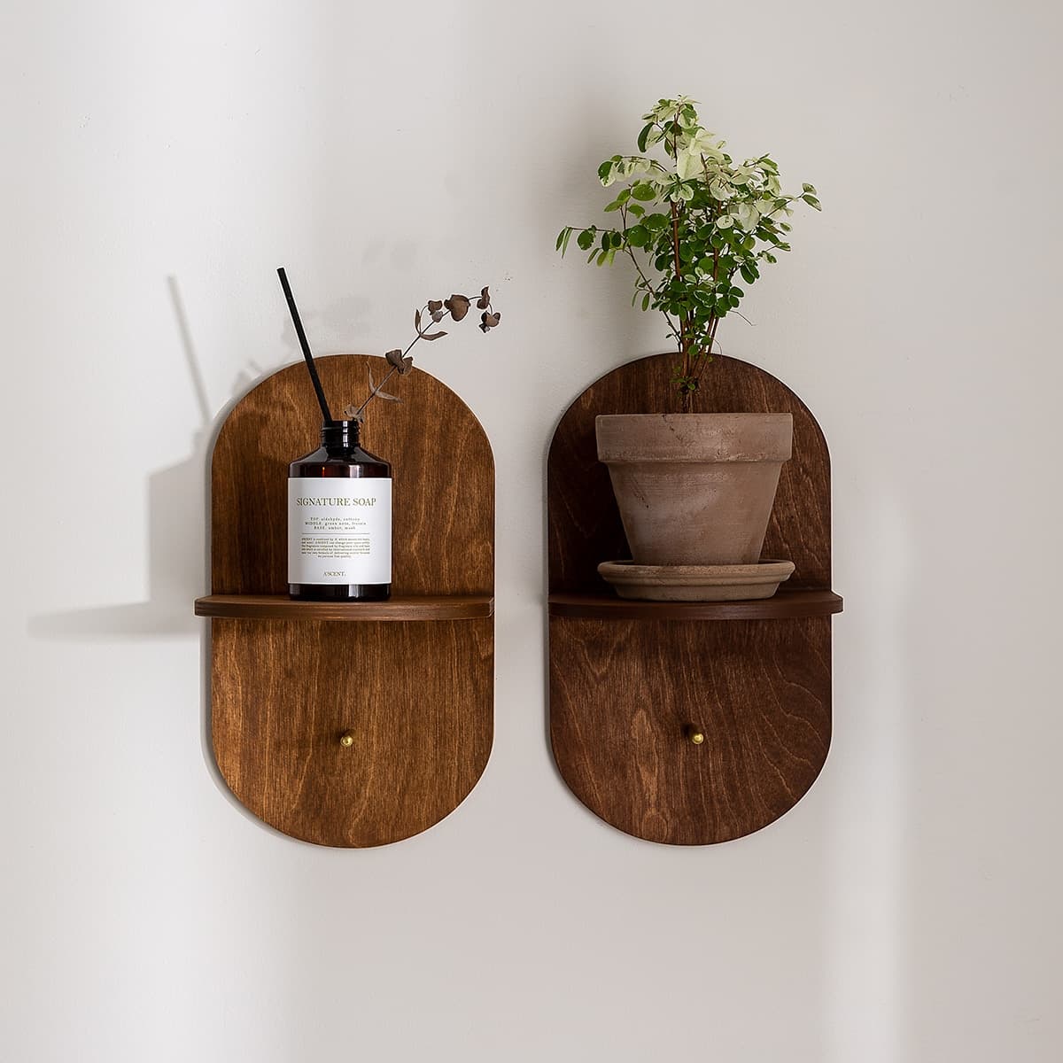 마고스완 null - 최저가 30,000원