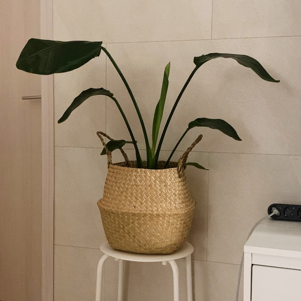 코드86 라탄바구니 화분커버 왕골 해초 바구니 7sizes - 최저가 1,630원