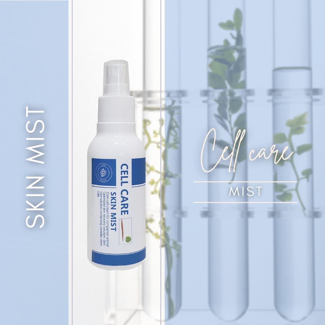 독샤워 셀케어 스킨 미스트 120ml