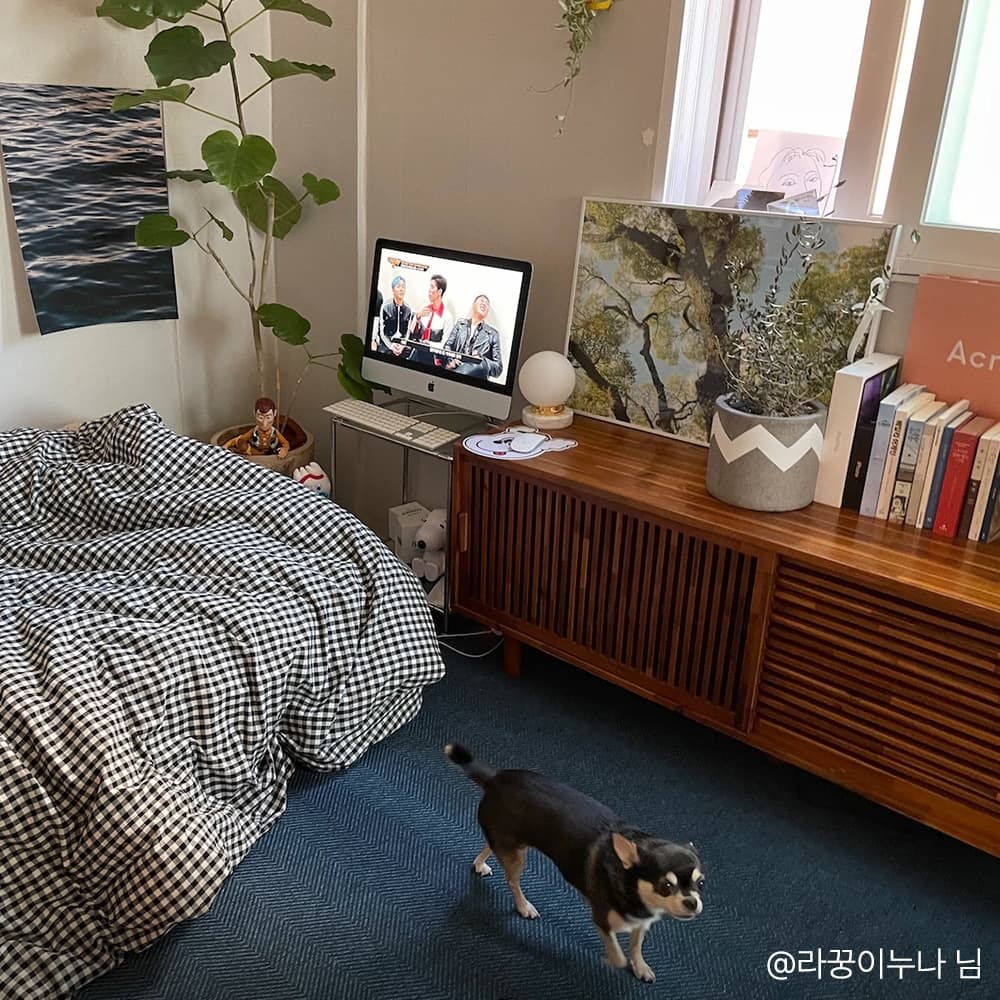 로포텐 null - 최저가 229,000원