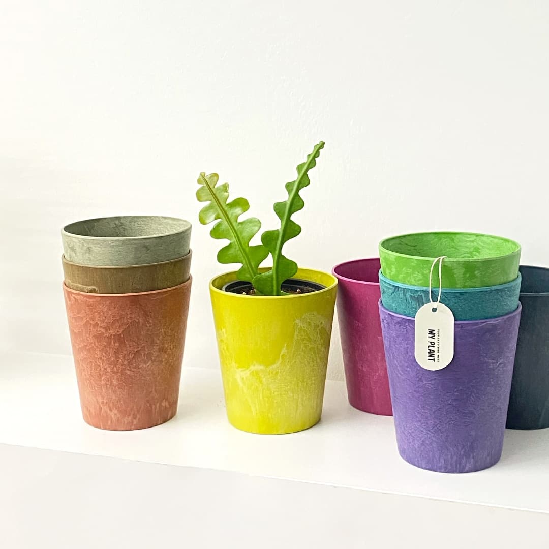 마이플랜트 null - 최저가 2,925원