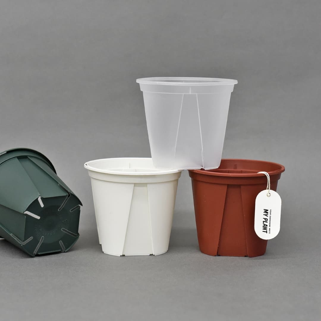 마이플랜트 null - 최저가 252원