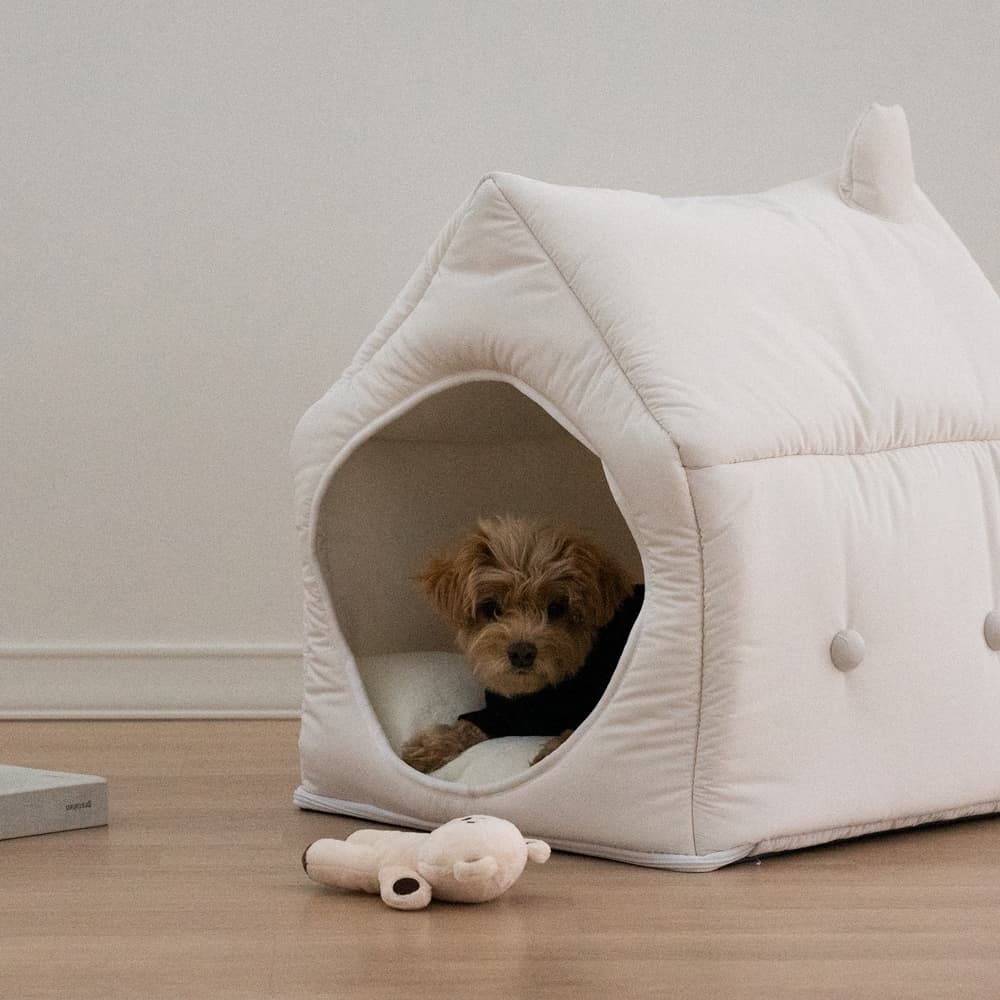 아우스리푸 인포멀 하우스