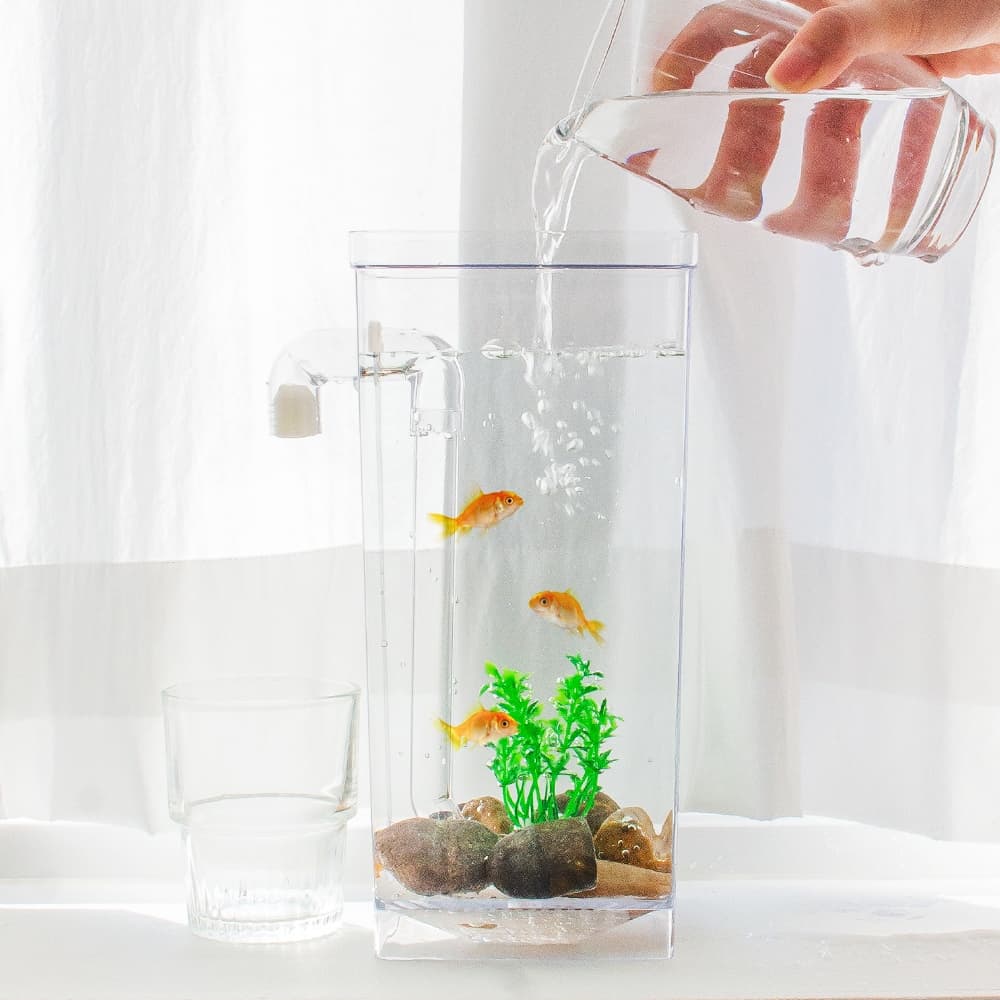 캥거 자동청소 미니 물멍 물고기 키우기 어항 수조 세트 LUAZ- FS1