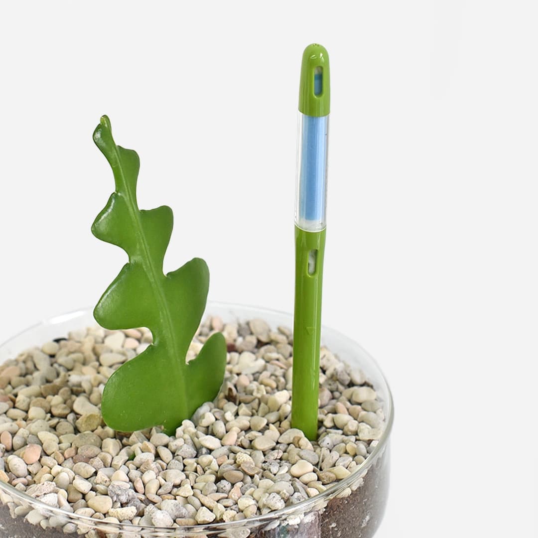 마이플랜트 null - 최저가 5,310원