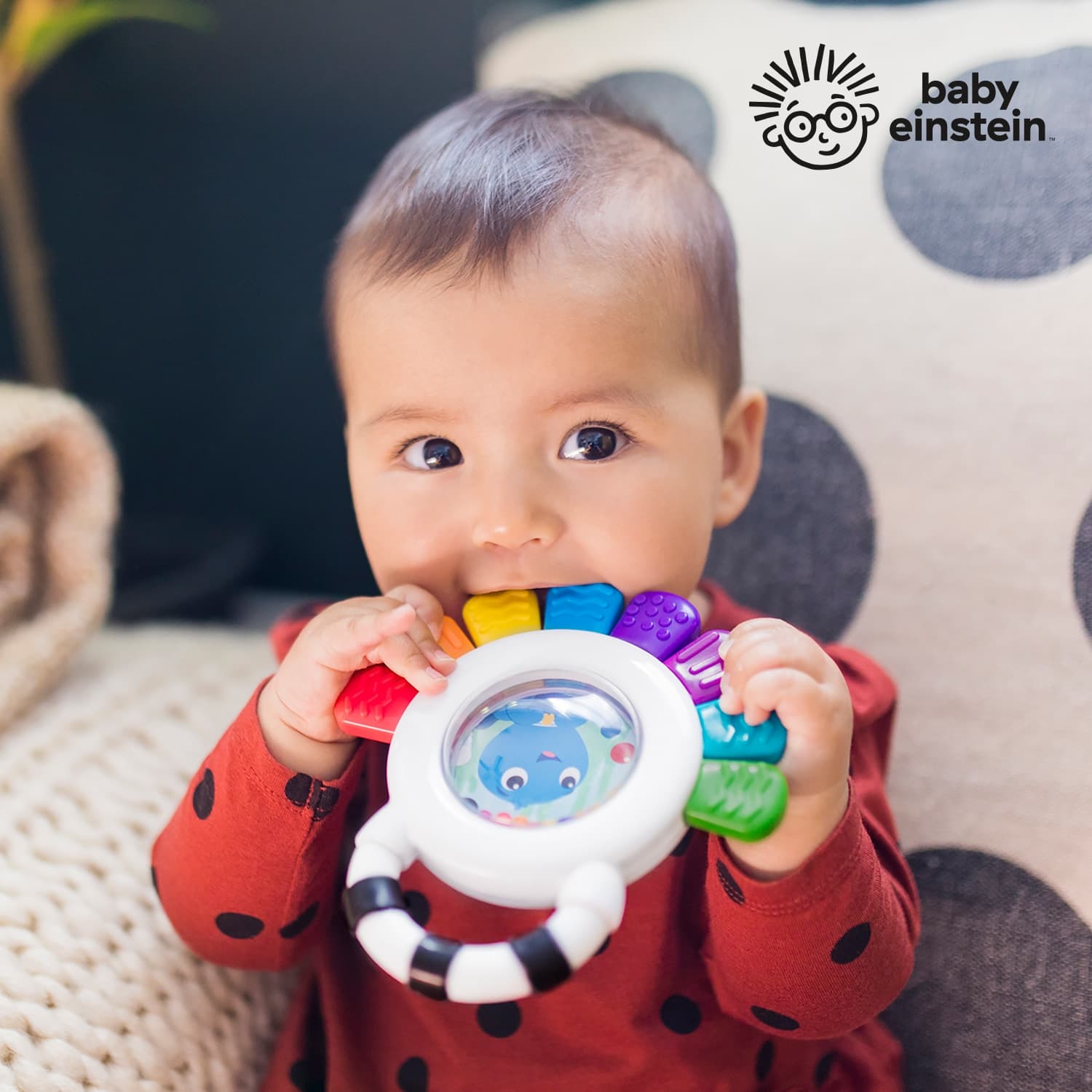 브라이트스타트 null - 최저가 11,900원