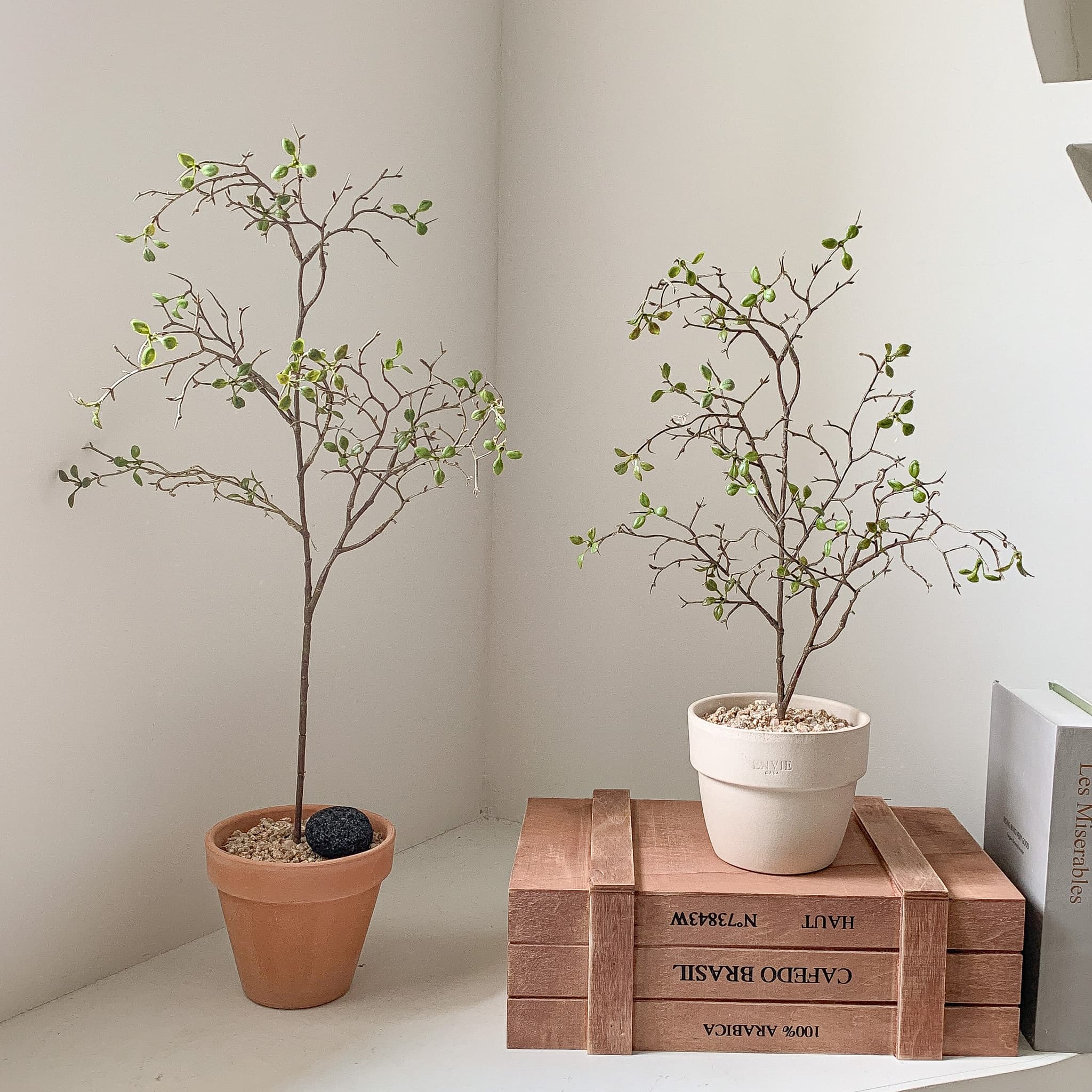 메이드모드 null - 최저가 18,500원