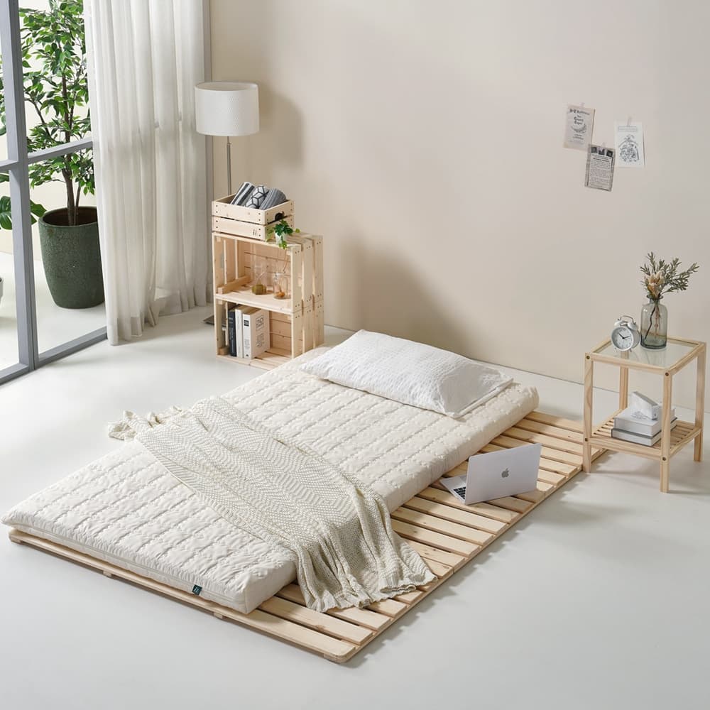 노르웨이숲 null - 최저가 49,900원