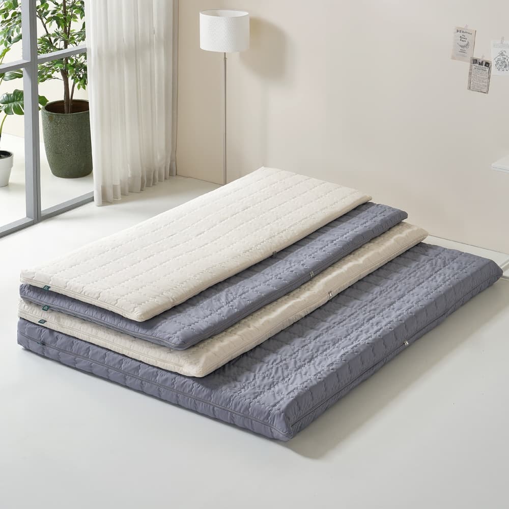 노르웨이숲 null - 최저가 69,900원