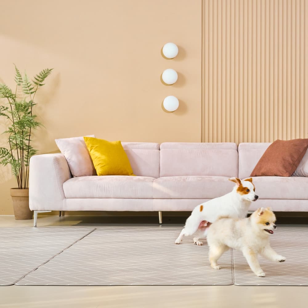 로하우스 엣지 pvc 러그타입 매트 강아지 미끄럼방지 논슬립 (3color)