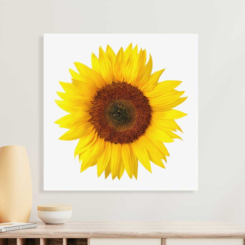 세잔느화실 null - 최저가 7,200원