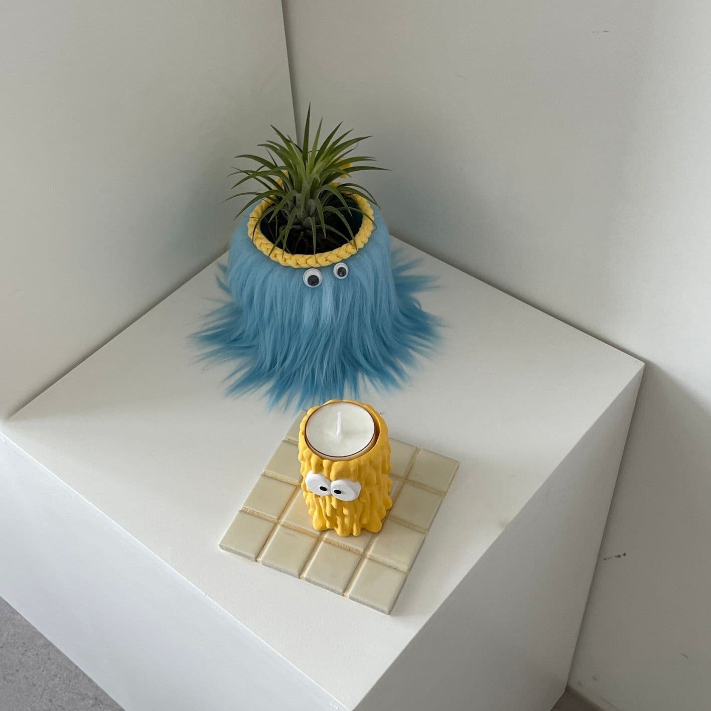 잔디트리 몬스터 틸란드시아 공기정화 인테리어 화분 - 최저가 24,000원