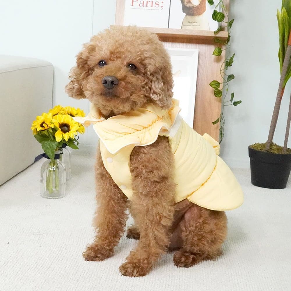 개과천선 솜사탕 강아지 패딩 리본 레이스 겨울 아우터