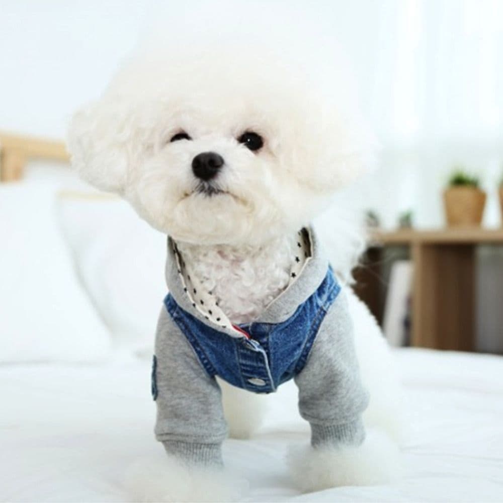 개과천선 점프 인 진 후디 강아지 후드티 데님 패션 아우터