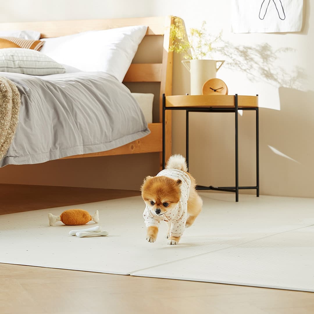 펫토 클린펫 강아지미끄럼방지 100%방수고밀도 매트 4size 2colors