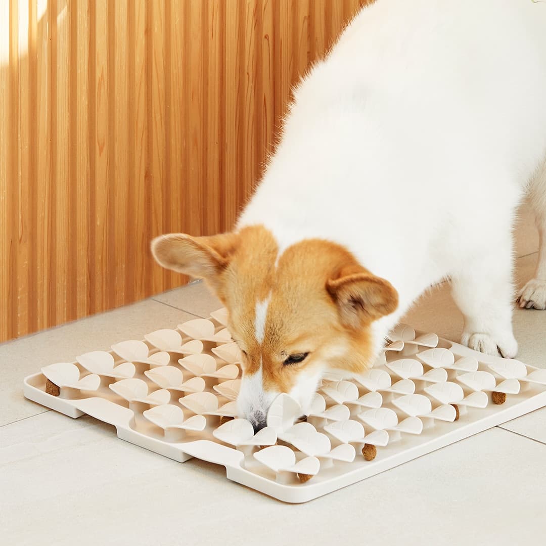 펫토 새싹매트, 실리콘 노즈워크 강아지 장난감 3size