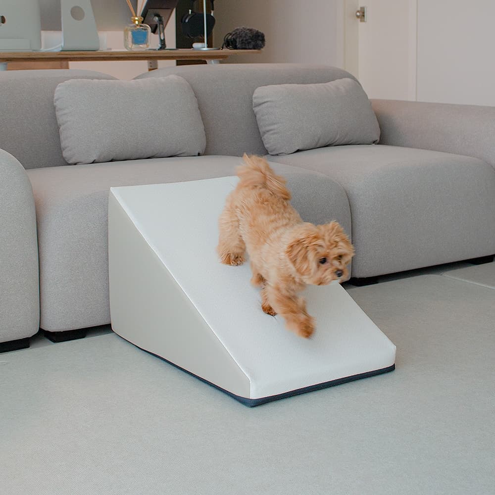 초코펫하우스 강아지 슬라이드계단 / 논슬립스텝 2.0_대형 (4colors)