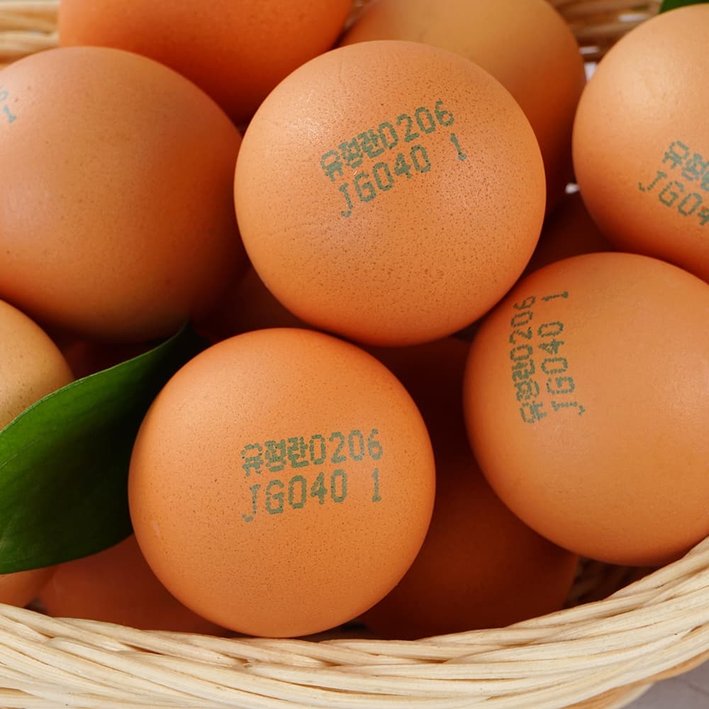 아주농장 null - 최저가 17,955원