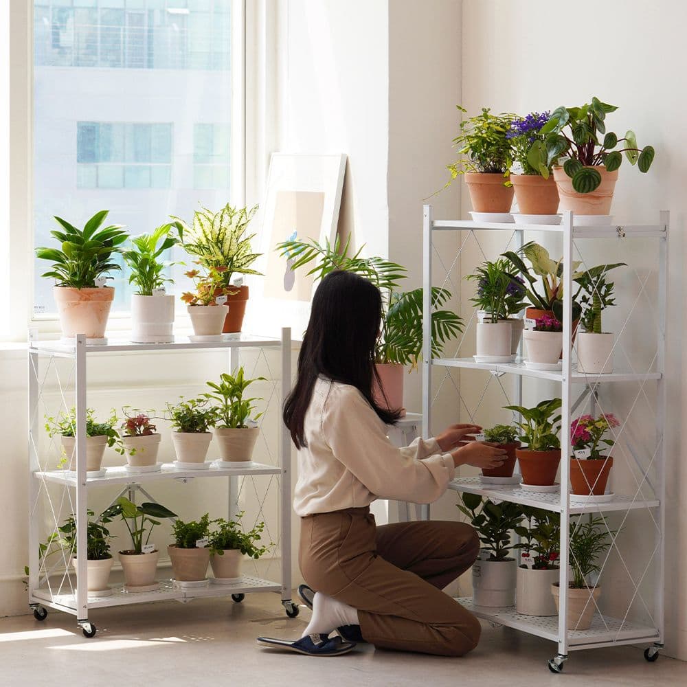 친절한마이쮸 null - 최저가 30,500원