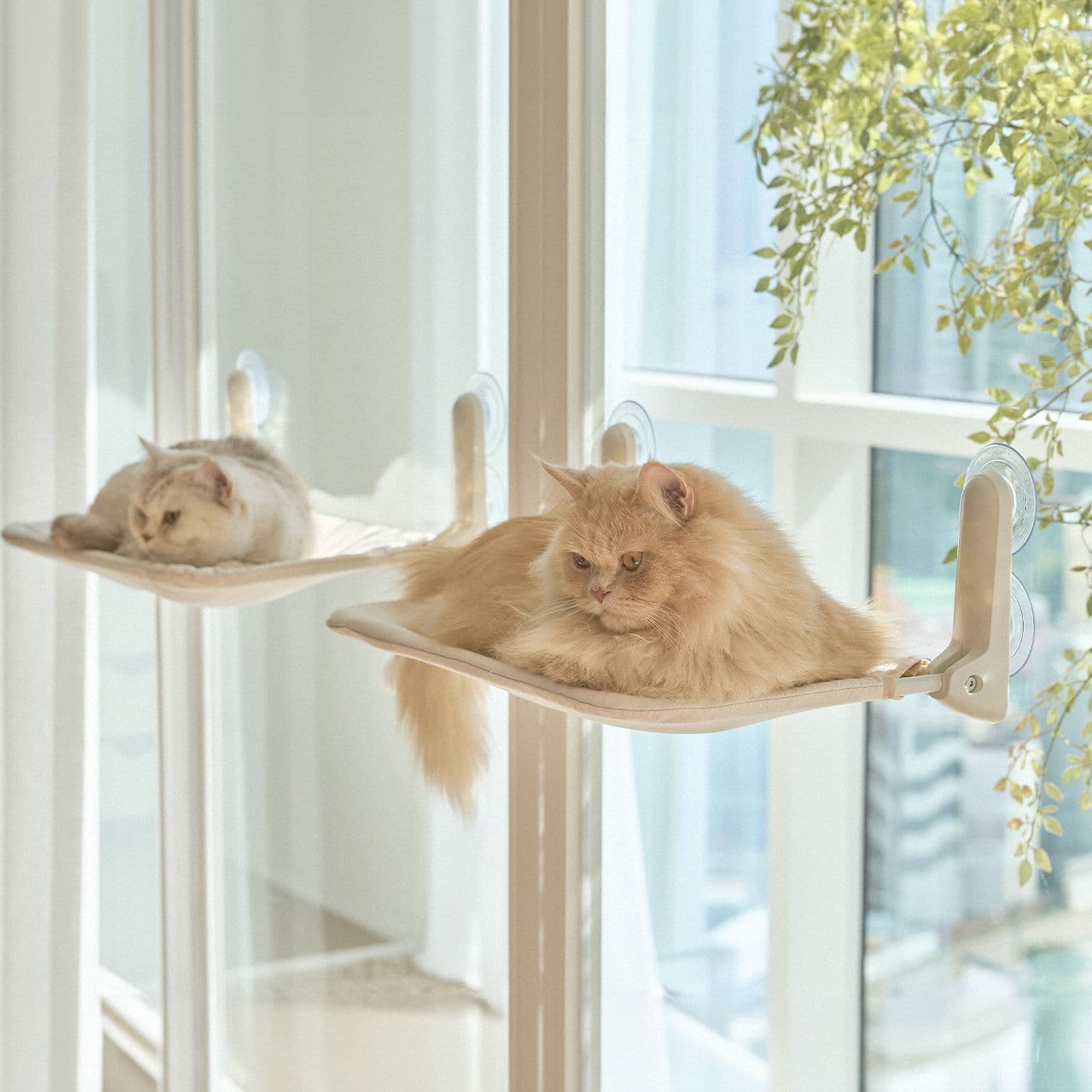 세이펫 초강력 흡착 고양이 창문 해먹 캣타워