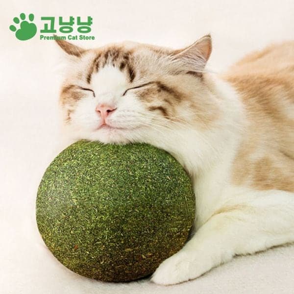 고냥냥 대왕 캣닢볼 고양이 장난감 왕닢볼