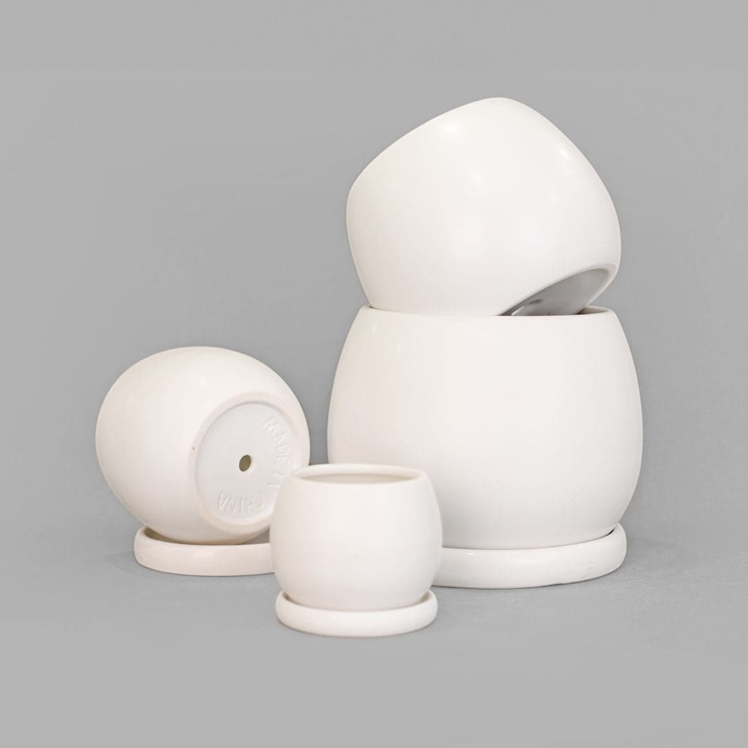 마이플랜트 null - 최저가 3,600원