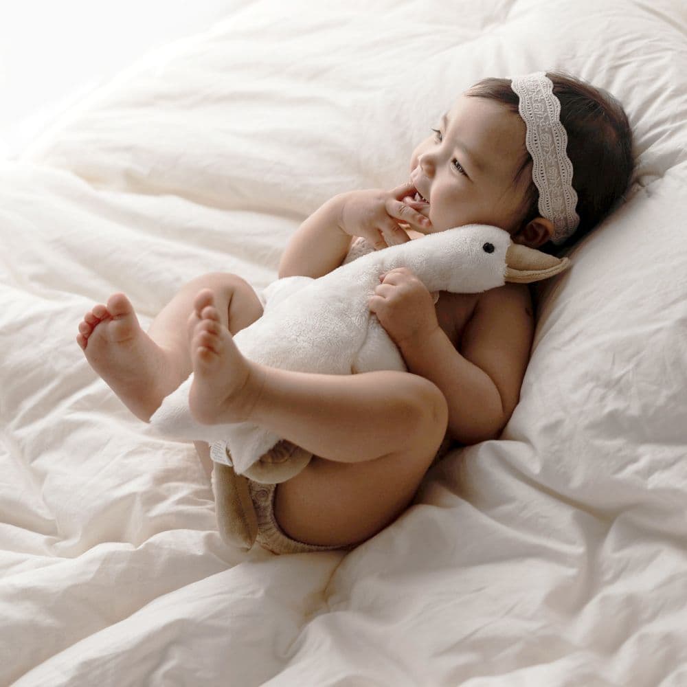 블랑가또 오리애착인형