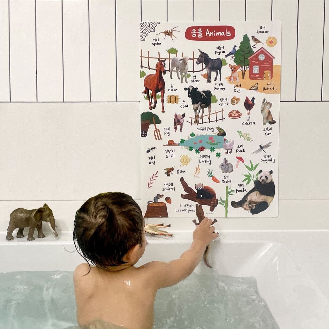 엔밀리밀리 null - 최저가 8,500원