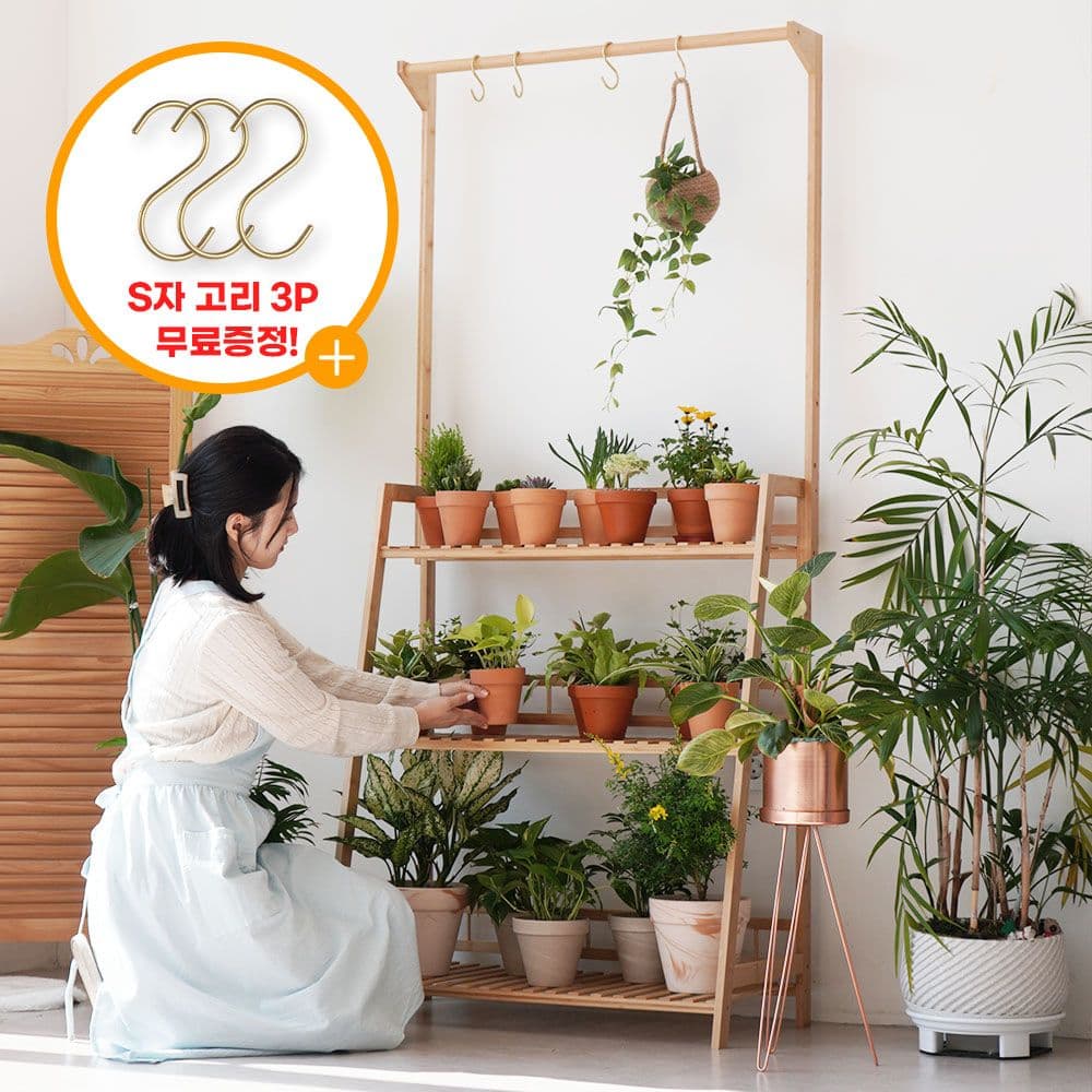 친절한마이쮸 null - 최저가 49,900원