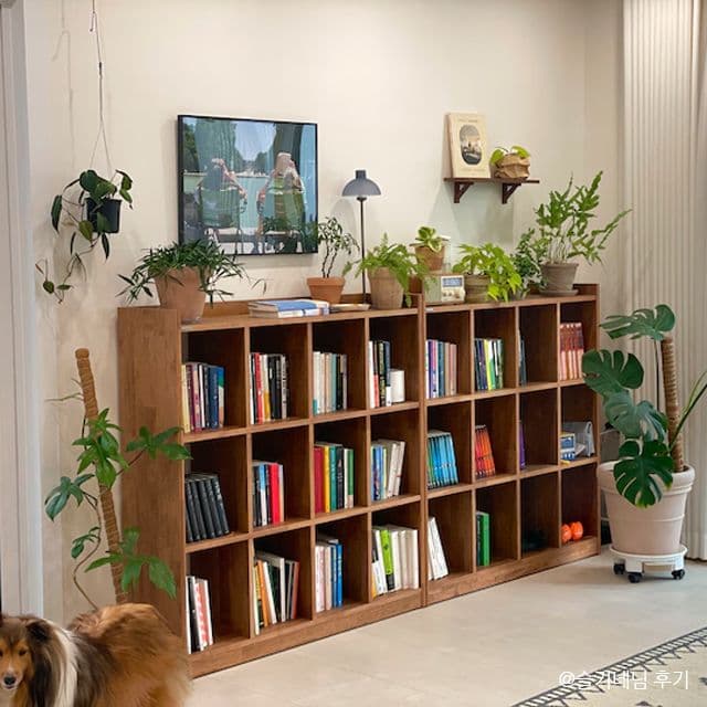 홈인홈 null - 최저가 317,000원