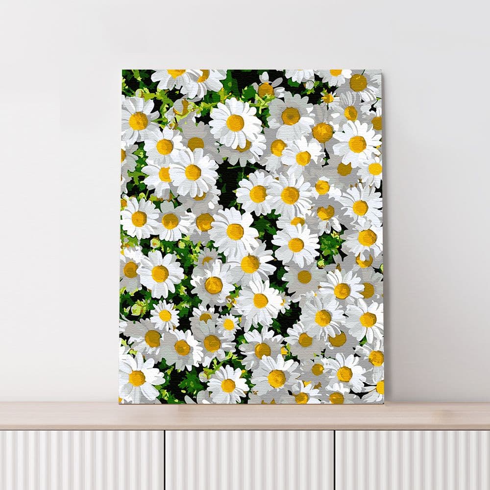 플레이어바웃 null - 최저가 17,900원