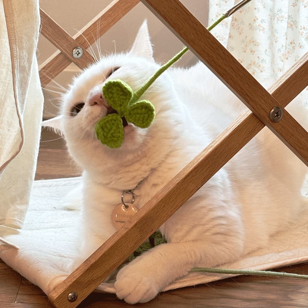 집에가야돼 세잎클로버 고양이 뜨개장난감