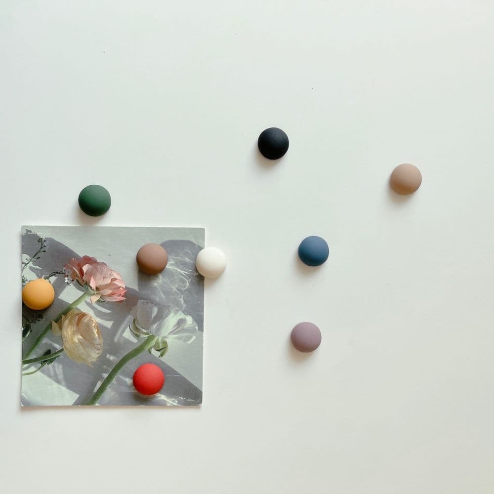 A의 취향 A의취향 비비드컬러마그넷